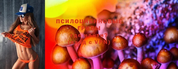 МДМА Каменногорск