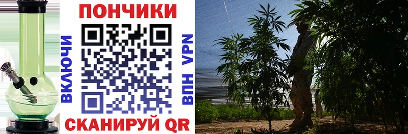 Купить закладки  Заречный  Канабис THC 21% 